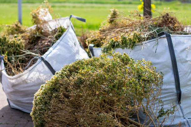 Attic Cleanout Services in Mill Plain, CT